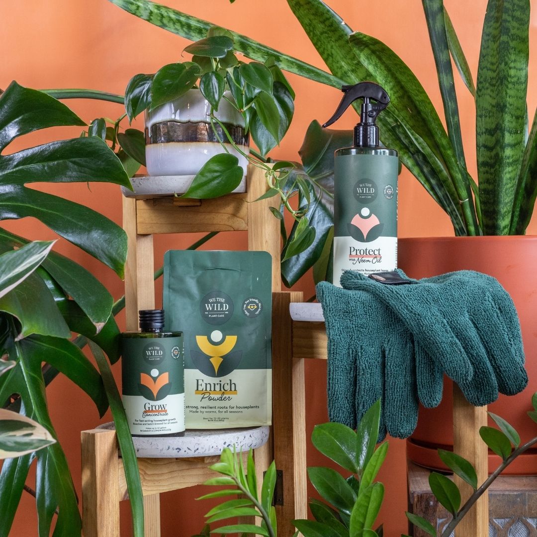 Houseplant Starter Grow Kit