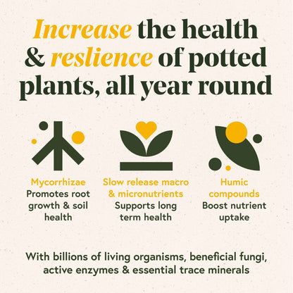 Enrich Slow Release Houseplant Food