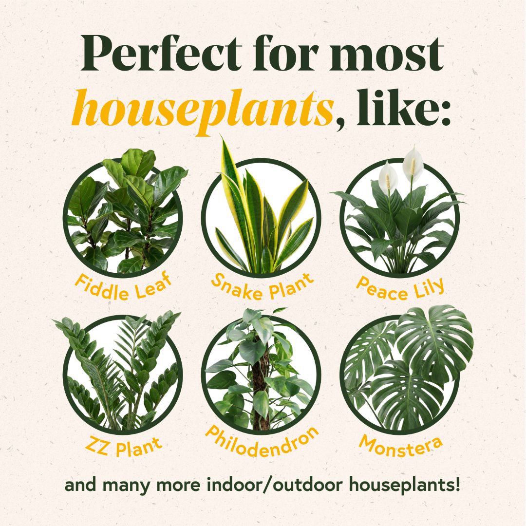 Enrich Slow Release Houseplant Food