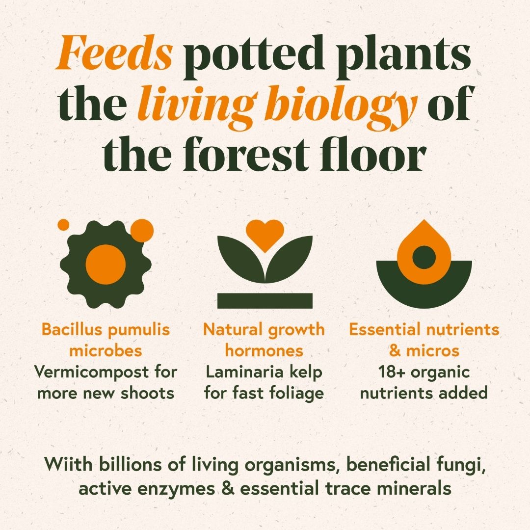 Grow Fast Acting Houseplant Food