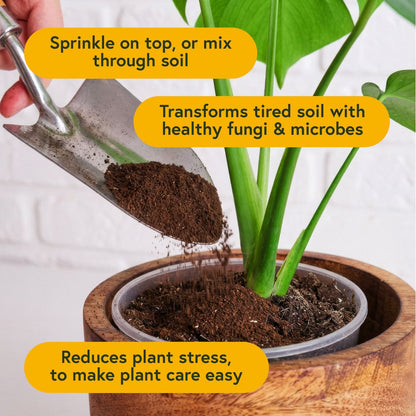 Enrich Slow Release Houseplant Food