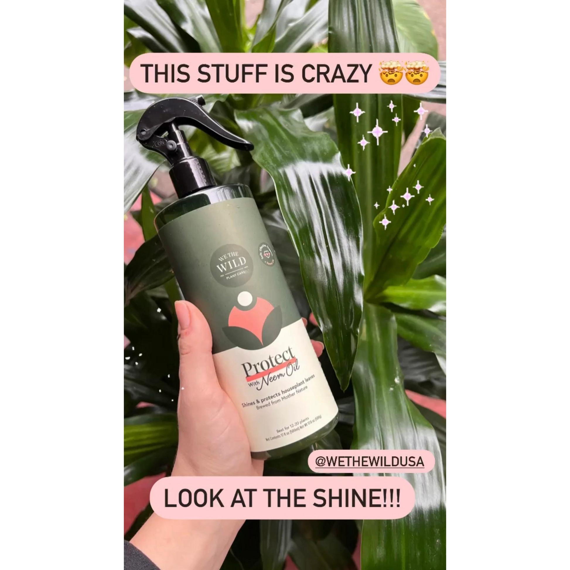 neem oil spray for indoor plants Neem Oil Spray for Indoor Plants | Protect Spray