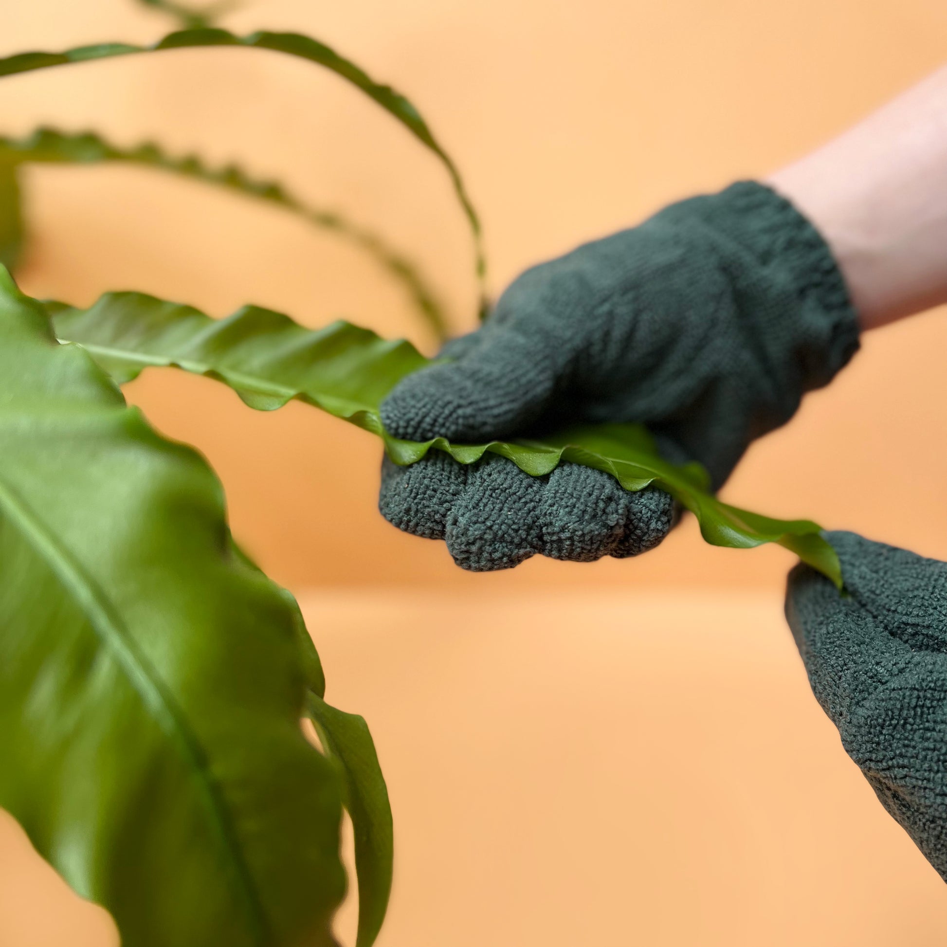 Microfiber Dusting Gloves for Plant Care Gray or Pink Ultra-soft, Fluffy Microfiber  Glove Pair for Plant Cleaning 